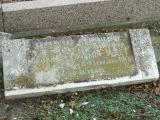 image of grave number 219494